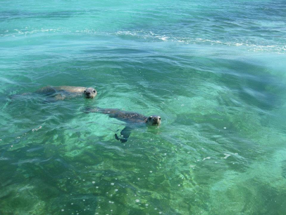 Green Head Centrebreak Beach Stay المظهر الخارجي الصورة