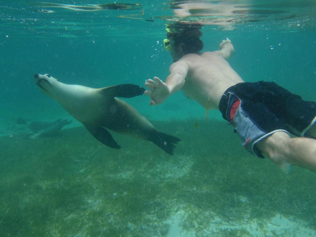 Green Head Centrebreak Beach Stay المظهر الخارجي الصورة